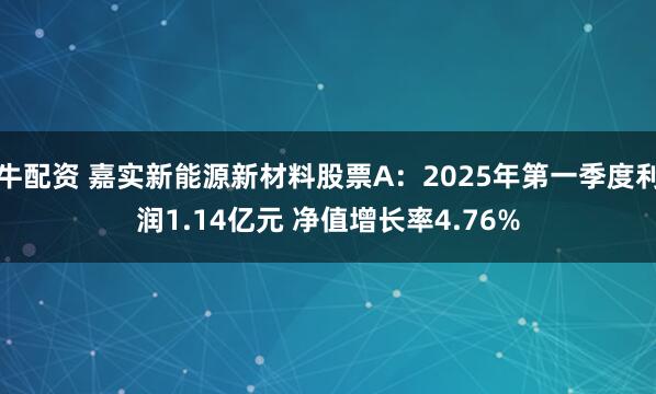 牛配资 嘉实新能源新材料股票A：2025年第一季度利润1.14亿元 净值增长率4.76%